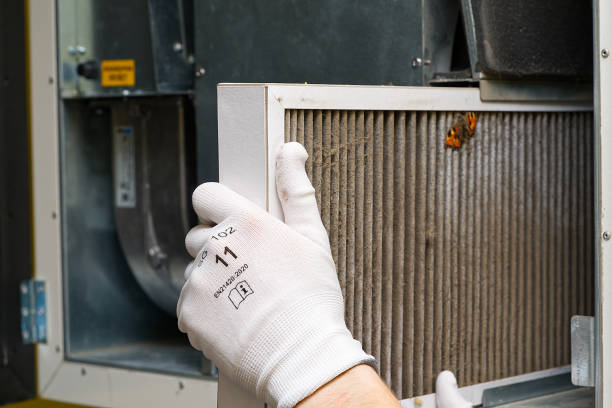 Best Air Filter Replacement Services in Brillion, WI