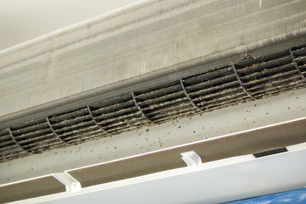 Best Residential Air Duct Cleaning in Brillion, WI